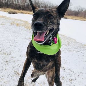 Meet your Posher, David